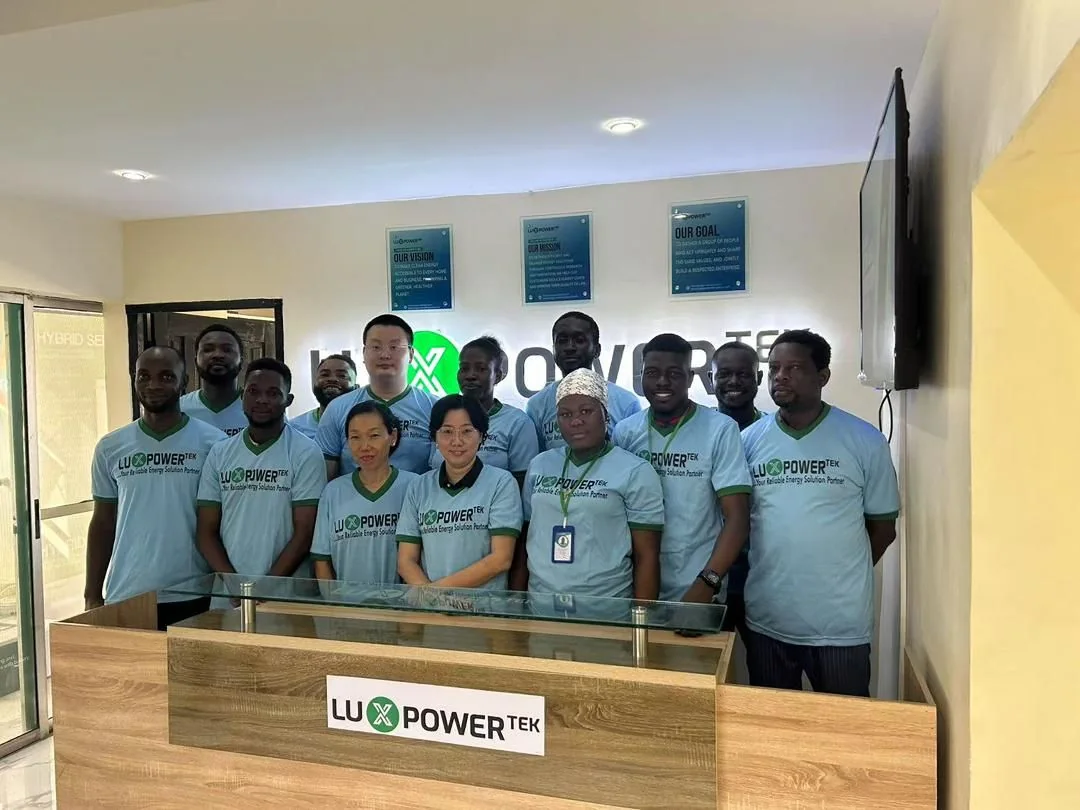 LuxpowerTek Nigeria market visit and partner engagement